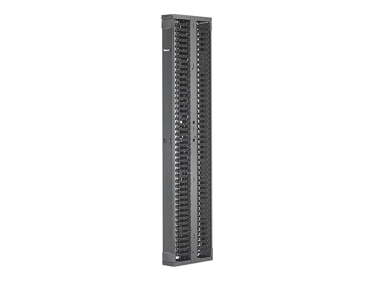 Panduit PatchRunner 2 Dual Sided Manager - rack cable management panel - 42U
