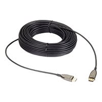 Black Box Active Optical Cable - Câble DisplayPort - DisplayPort pour DisplayPort - 100 m