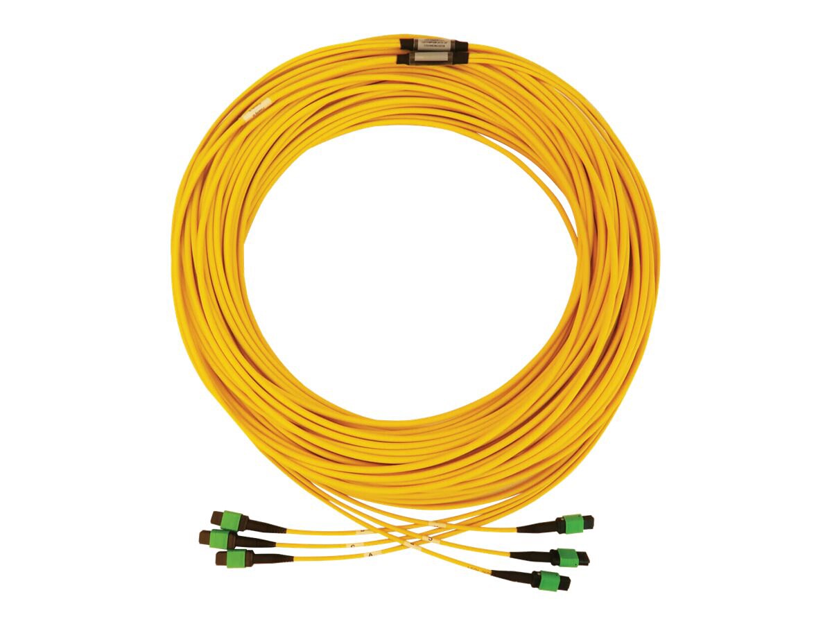 Tripp Lite Fiber Optic Cable 40/100G SMF 9/125 3x8F MTP/MPO-APC OS2 F/F 61M