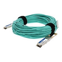 AddOn 100GBase-AOC direct attach cable - TAA Compliant - 30 m