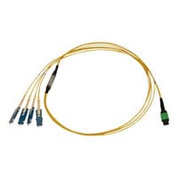 Tripp Lite 40/100/400G Singlemode 9/125 OS2 Breakout Fiber Cable LSZH 1 M