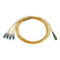 Tripp Lite 40/100/400G Singlemode 9/125 OS2 Breakout Fiber Cable LSZH 3 M