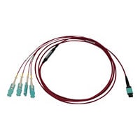 Tripp Lite 40/100/400G Multimode 50/125 OM4 Breakout Fiber Cable LSZH 2 M