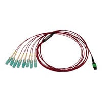 Tripp Lite 40/100/400G Multimode 50/125 OM4 Breakout Fiber Cable LSZH 2 M