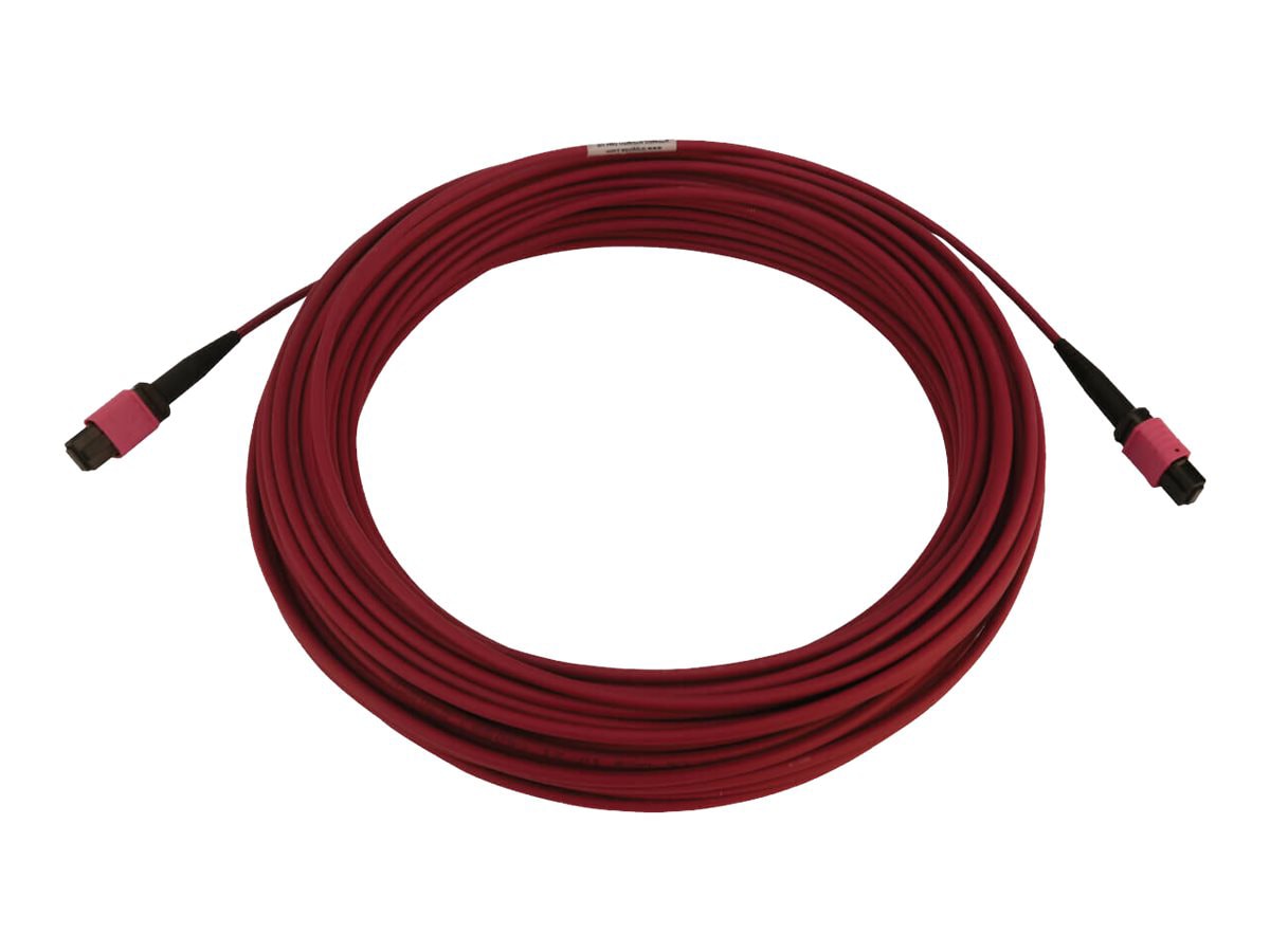 Eaton Tripp Lite Series 100G Multimode 50/125 OM4 Fiber Optic Cable (12F MTP/MPO-PC F/F), LSZH, Magenta, 20 m (65.6 ft.)