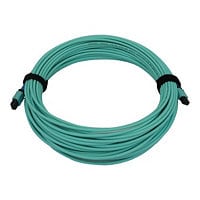 Tripp Lite Fiber Optic Cable 40/100/400G MMF 50 OM3 24F MTP/MPO-PC F/F 20M