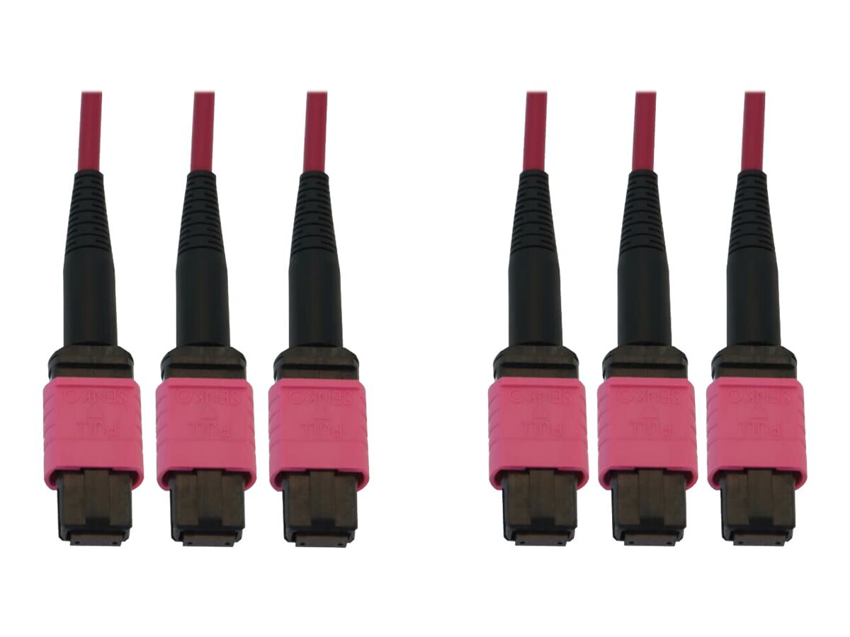 Tripp Lite Fiber Optic Cable 40/100/400G MMF 50 OM4 3x8F MTP/MPO-PC F/F 15M
