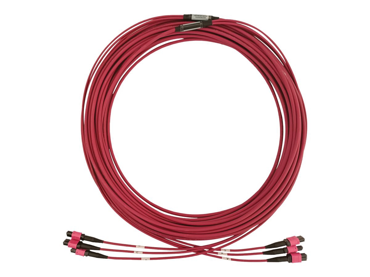 Eaton Tripp Lite Series 40/100/400G Multimode 50/125 OM4 Fiber Optic Cable (3x8F MTP/MPO-PC F/F), LSZH, Magenta, 23 m