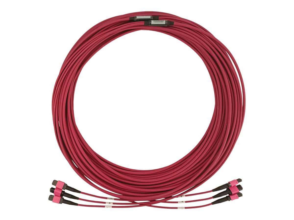 Eaton Tripp Lite Series 40/100/400G Multimode 50/125 OM4 Fiber Optic Cable (3x8F MTP/MPO-PC F/F), LSZH, Magenta, 30 m