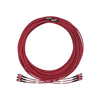 Tripp Lite Fiber Optic Cable 40/100/400G MMF 50 OM4 3x8F MTP/MPO-PC F/F 30M