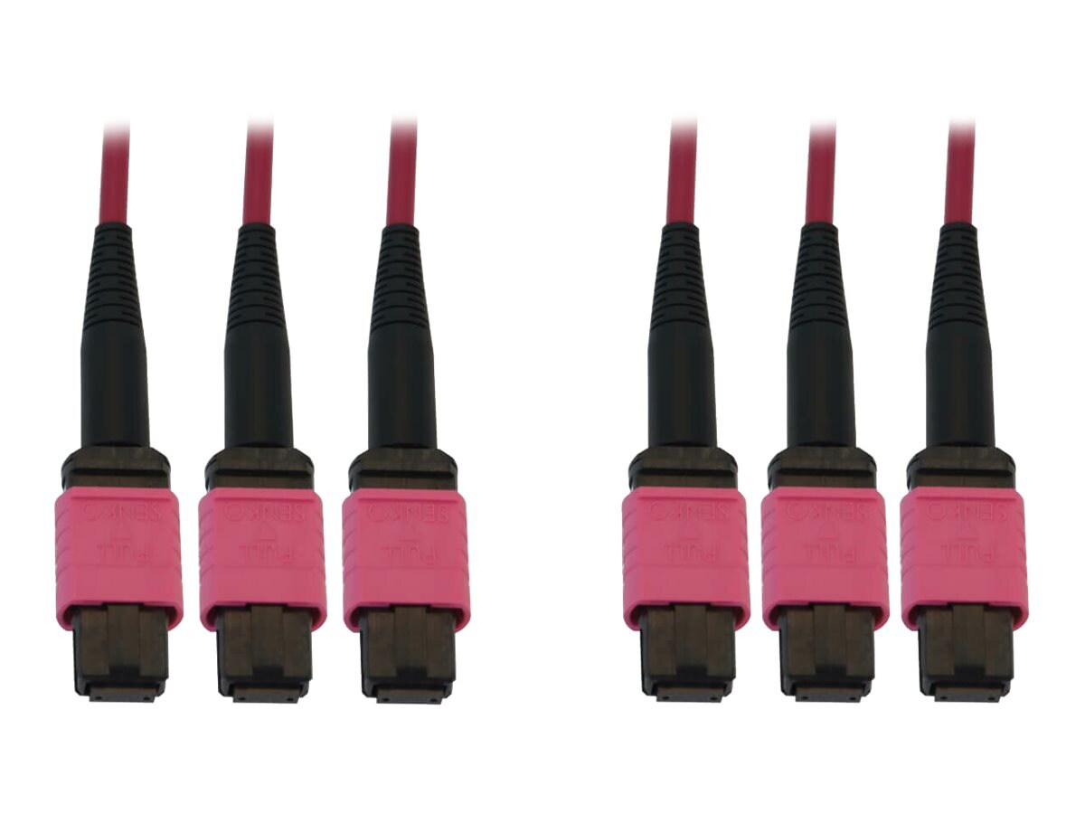 Eaton Tripp Lite Series 40/100G Multimode 50/125 OM4 Fiber Optic Cable (3x8F MTP/MPO-PC F/F), LSZH, Magenta, 38 m (124,7