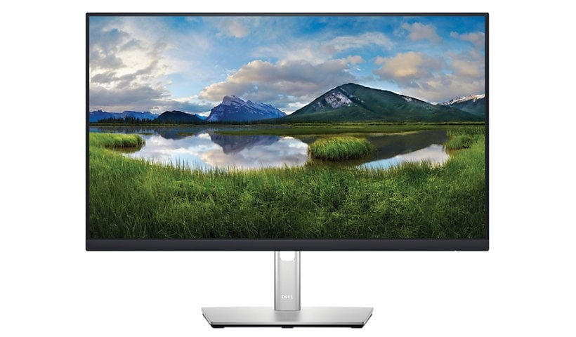 Dell CTO 24" Monitor - P2422H