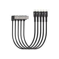 Kensington Charge & Sync Cable - câble Lightning - 20 cm