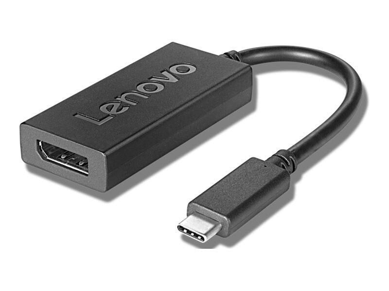 Lenovo - adaptateur vidéo - 24 pin USB-C pour DisplayPort - 20 cm