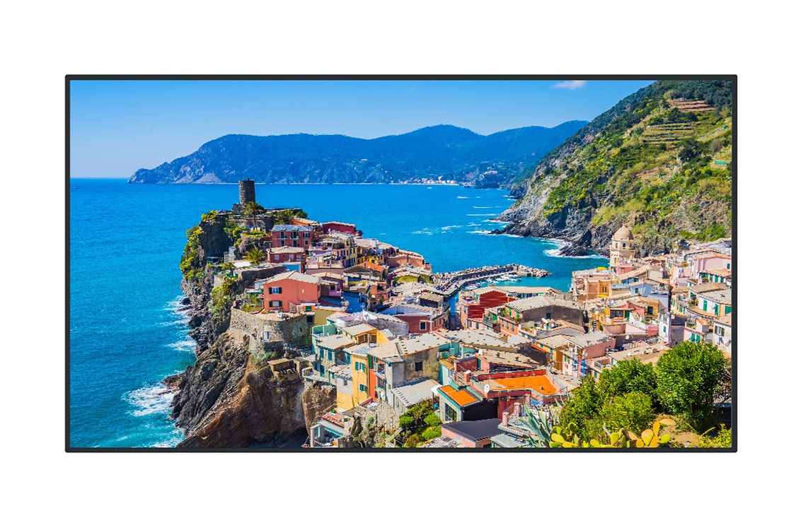 Panasonic TH-75EQ2 EQ2 Series - 75" Class (74.5" viewable) LED-backlit LCD display - 4K - for digital signage