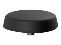 Sierra Wireless antenna - 4-in-1