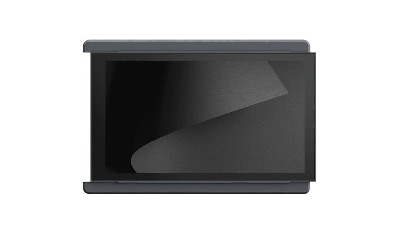Mobile Pixels DUEX Lite 13" Class Full HD LCD Monitor - 16:9 - Gray