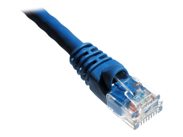 Axiom patch cable - 20 ft - blue