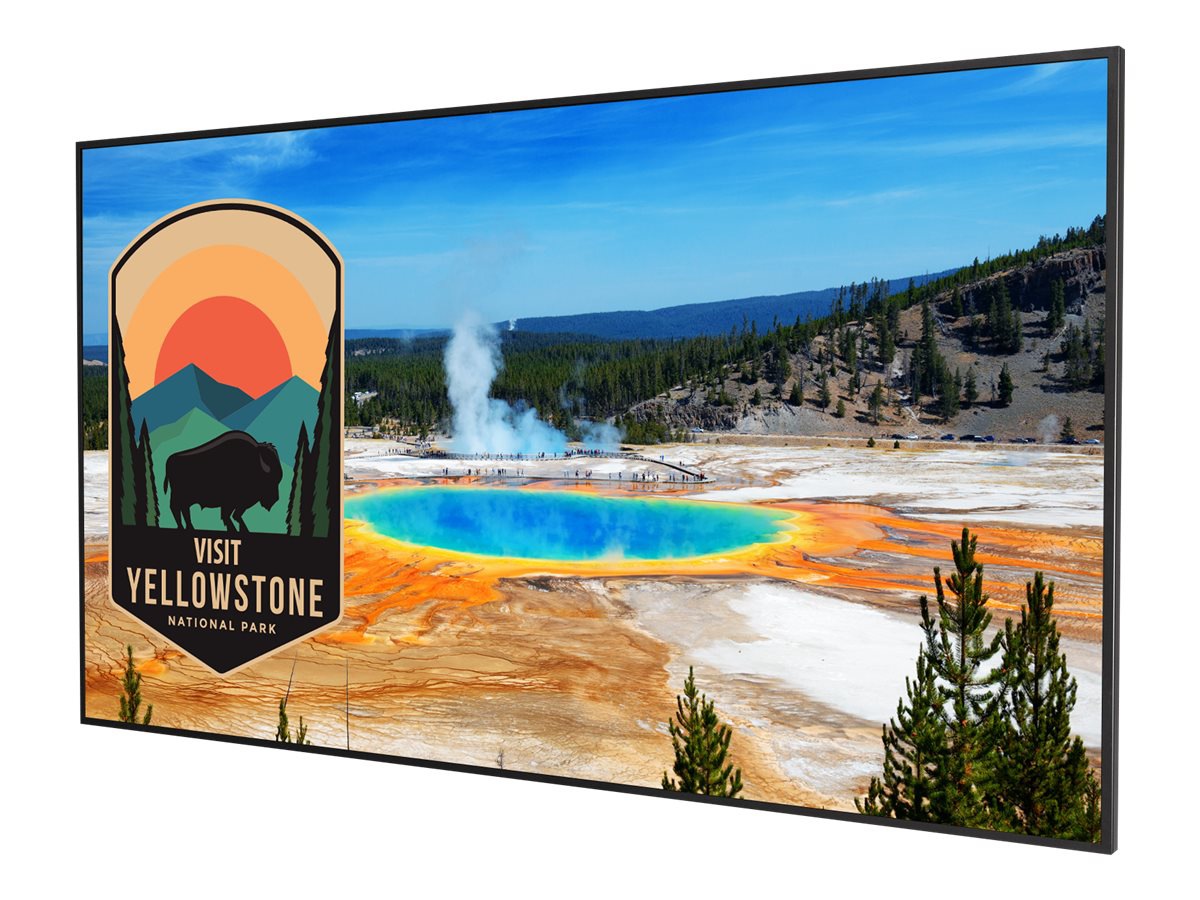 Planar SLM65 Simplicity M Series - 65" LED-backlit LCD display - 4K - for digital signage