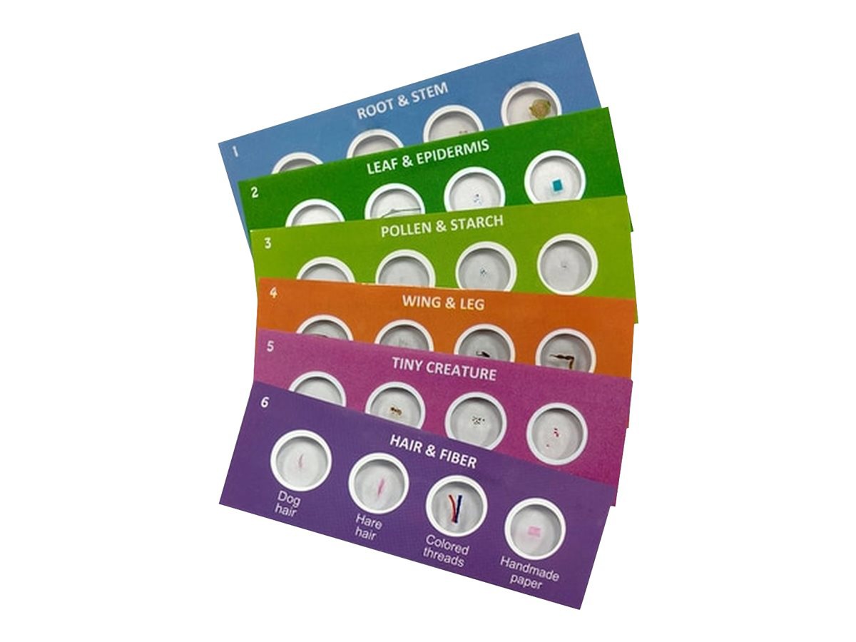 Hamilton Buhl Scout Slides - prepared microscope slide