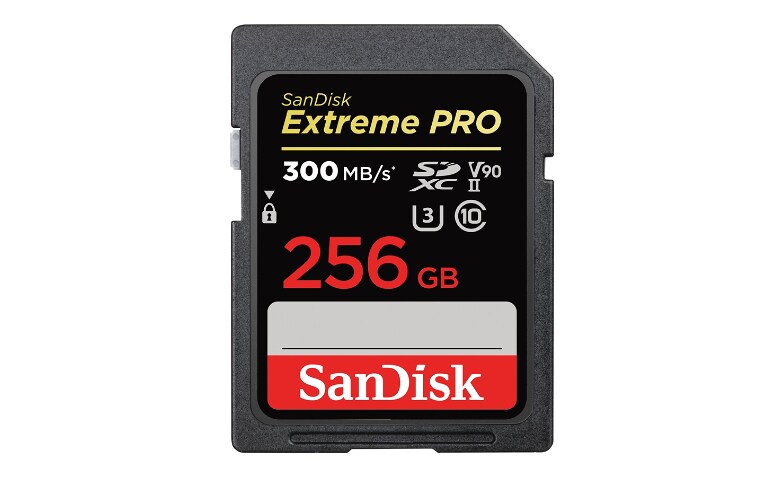 Soldes SanDisk Extreme microSDXC 256 Go (SDSQXAO-256G) 2024 au meilleur  prix sur