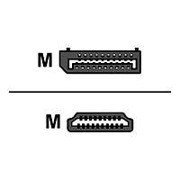 Proline adapter cable - DisplayPort / HDMI - 6 ft