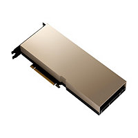 NVIDIA A100 - GPU computing processor - A100 Tensor Core - 80 GB