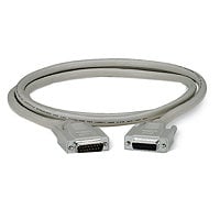 Black Box network cable - 100 ft