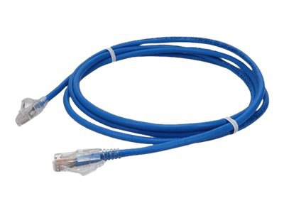 Proline patch cable - 3 ft - blue
