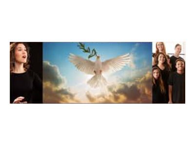 LG Ultra Stretch LSCB-G294C LSCB Series LED video wall - Direct View LED - for digital signage