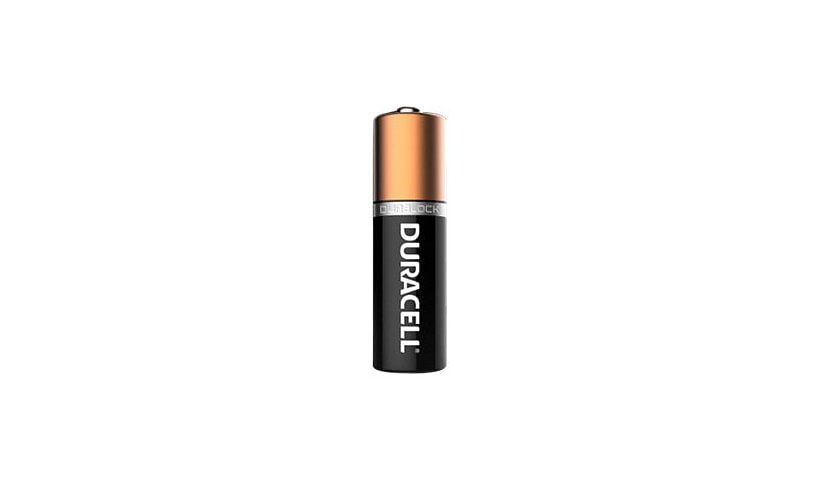Duracell CopperTop battery - 16 x AA type - alkaline