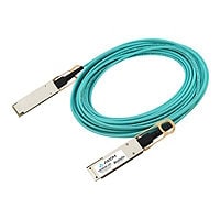 Axiom 100GBase-AOC direct attach cable - 10 m