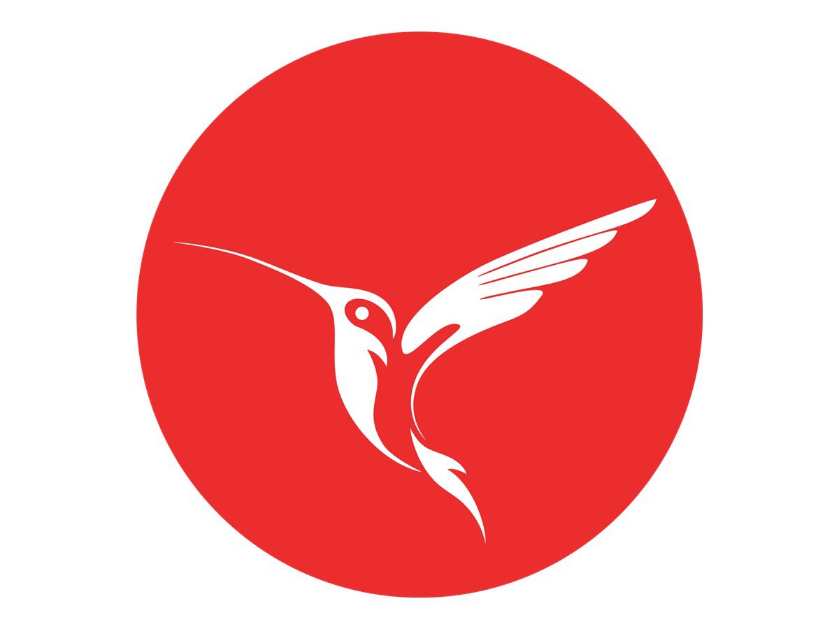 InterBase 2020 Server Edition - license - 10 additional users