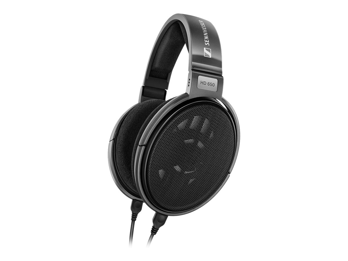 Sennheiser HD 650 - headphones - 508825 - Headphones - CDW.com