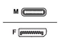 AddOn - DisplayPort adapter - 24 pin USB-C to DisplayPort - 20 cm