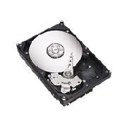 Seagate Barracuda 7200.8 - hard drive - 250 GB - SATA-150