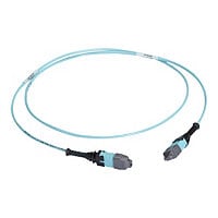 Black Box 30" MTP OM3 Fiber Optic Trunk Cable Plenum 12-Strand Type C