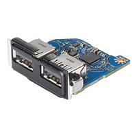 HP Flex IO V2 Card - 2 x USB 3.1 Gen1 port