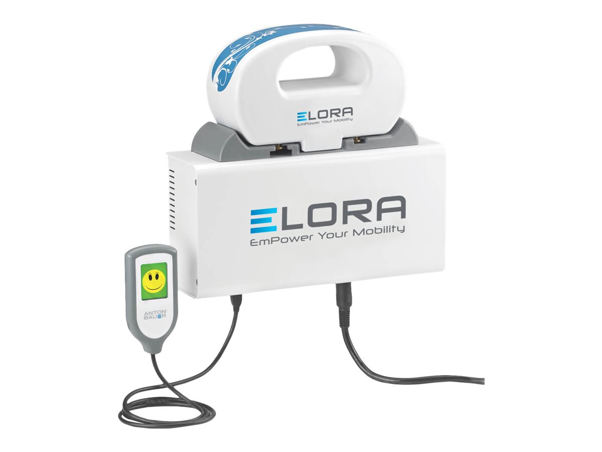 Elora battery charger - AC - 100 Watt