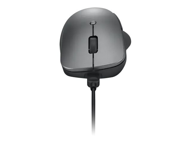 Lenovo Professional - mouse - Bluetooth 5.1 - storm gray