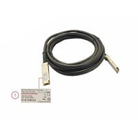 Extreme Networks 100GBase direct attach cable - 5 m