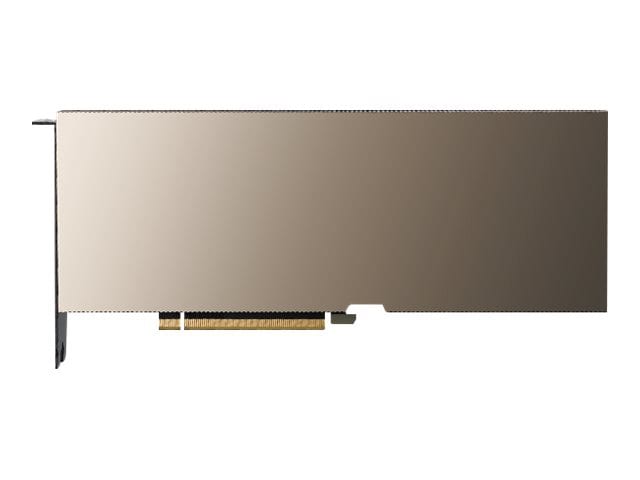 NVIDIA A100 80 GB - GPU computing processor - A100 Tensor Core - 80 GB