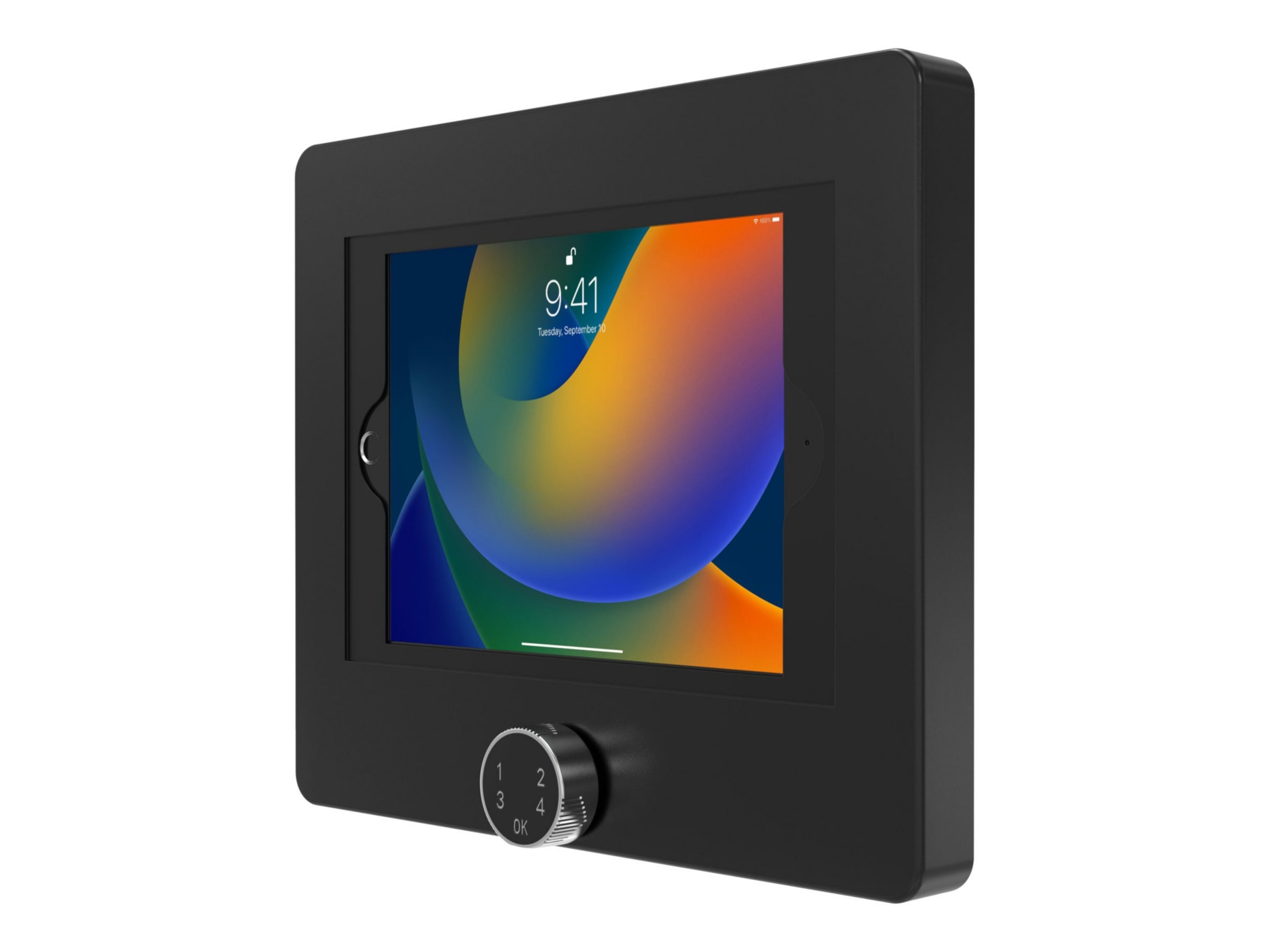 CTA Digital Universal Digital Password Locking Security Wall Mount Enclosure