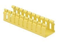 Panduit FiberRunner 2x2 Hinged Slotted Channel - cable raceway cover