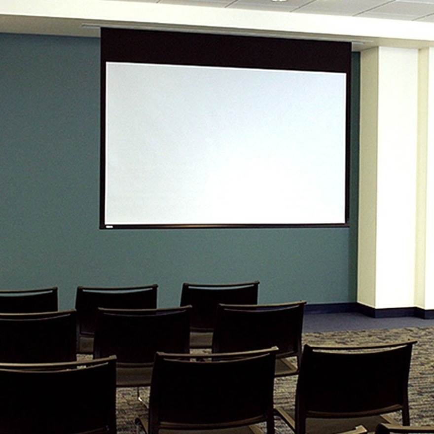 Draper Access E 165" Projection Screen