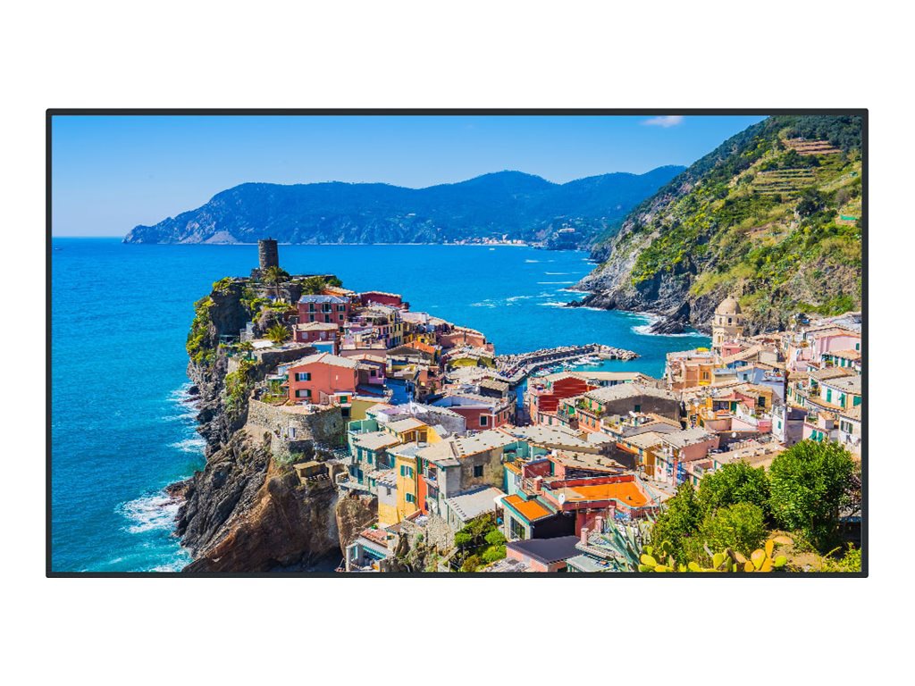 Panasonic TH-65EQ2W EQ2 Series - 65" Class (64.5" viewable) LED-backlit LCD display - 4K - for digital signage