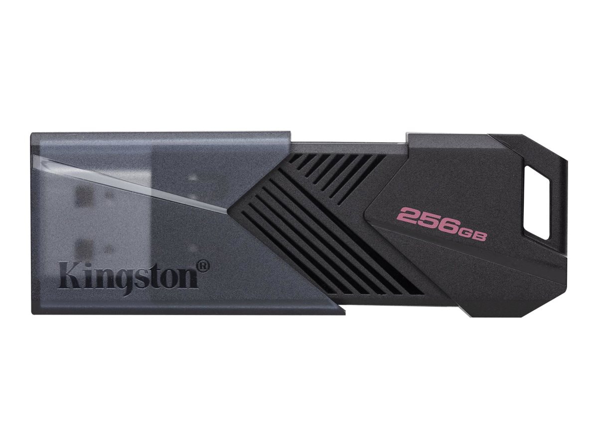 Kingston DataTraveler Onyx - USB flash drive - 256 GB