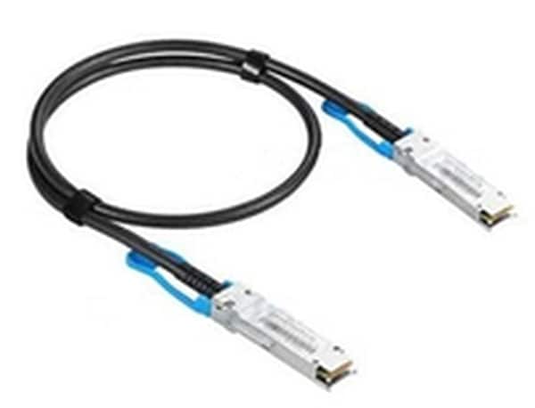 Extreme Networks 100GBase direct attach cable - 3 m