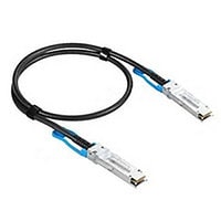 Extreme Networks 100GBase direct attach cable - 3 m