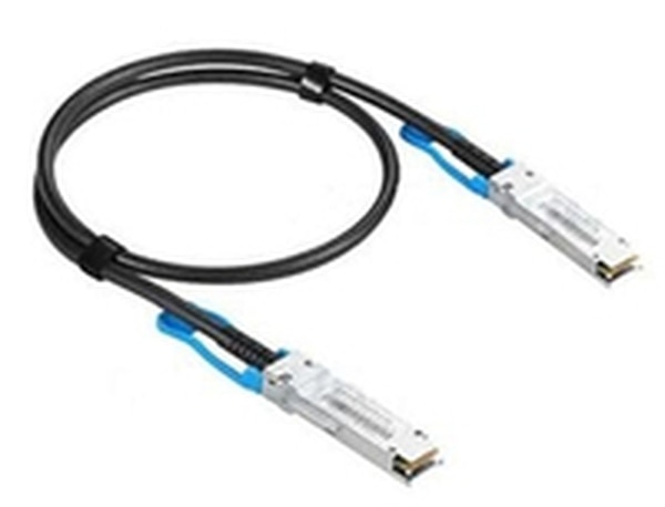 Extreme Networks 100GBase direct attach cable - 3.3 ft